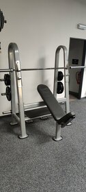 Šikmý bench press