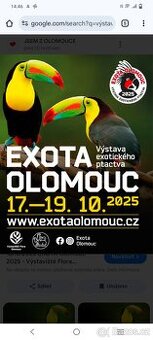 Exotické ptactvo Olomouc