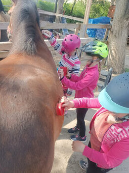 Jezdecký kroužek na koních a ponících - pro děti od 4let