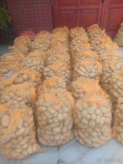 Prodam konzumní brambory