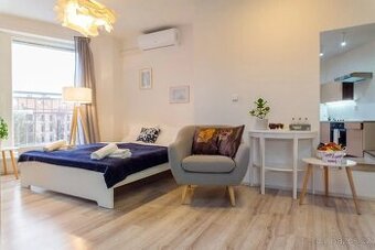 Pronájem bytu 1+kk 40 m² - 1