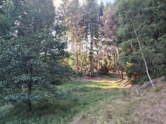 Prodej pozemku 1119m2 pozemku u lesa - Krušné hory