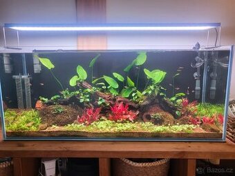 Akvárium Optiwhite 240l