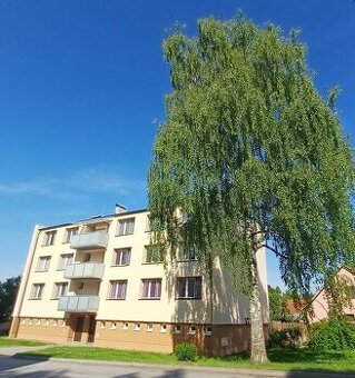 Pronájem zrekonstruovaného bytu 2+1 ve Slavonicích