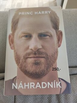 Náhradník kniha
