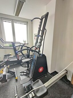 Verticon inSPORTline Profi