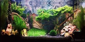 Kompletni set pro chov krevetek