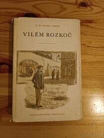 Romány - čeští autoři (včetně historických románů) 1/5
