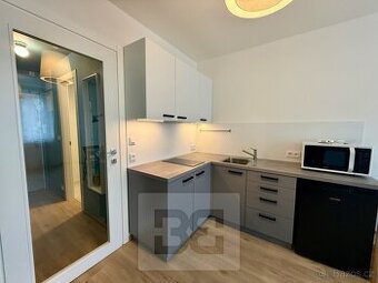 Pronájem bytu 1+kk 25 m², Praha - Strašnice, ev.č. N08847