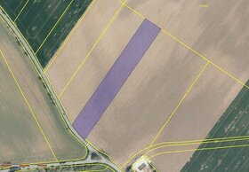 Prodej pozemku o výměře 12 908 m2 - Katusice - 1