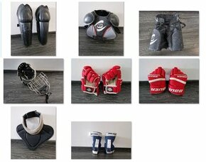 Výbava na lední hokej - chrániče, helma, rukavice - 1