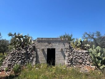 Prodám pozemek 9000m2 7km od moře na jihu Itálie