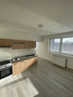 Pronájem 1+1 40m2, Hostomice, po rekonstrukci