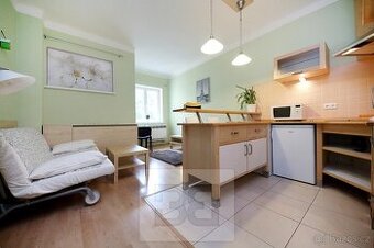 Zařízený 1+kk 27m2 v Nuslích, ev.č. N08007