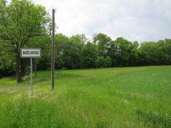 Orná půda - pozemek 2539m2 Božejovice - 1