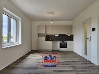 Pronájem nově rekonstruovaného bytu 3+kk, 62 m2 - České Budě