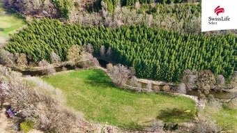 Prodej louky 5835 m2, Rodvínov