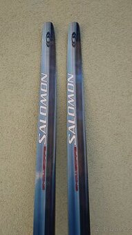 Běžky se šupinami 183cm + boty 42
