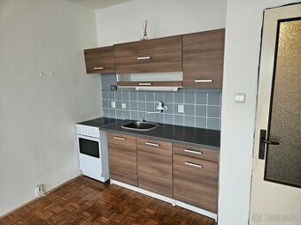 Pronájem bytu 1+kk s balkónem, Holý vrch