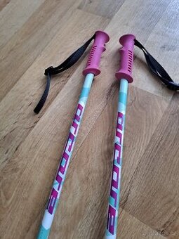 Prodám dívčí lyžařské hole