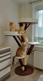 kočka/koťata/kočičí strom/škrabadlo/prolézačka/boudička