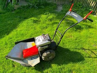 Vari Agatha 190cc - 1
