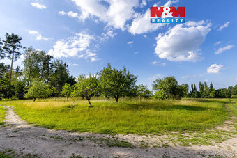 Prodej ovocného sadu v Morašicích - 1