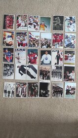 Hokejové kartičky - samolepky - 1