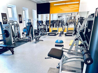 Technogym, Life fitness, Panatta