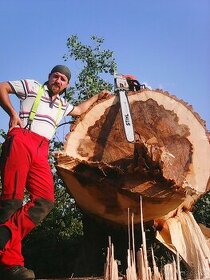 Kácení a ořezy stromů Uherskobrodsko - 1