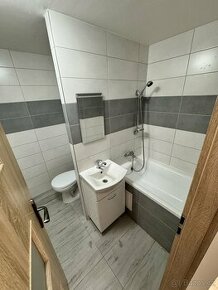 Nabízím pronájem bytu 1+kk Litvínov