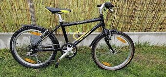 Author Cosmic 20"