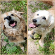 VIKY & ZORKA - umazlené babičky čekají na svého anděla