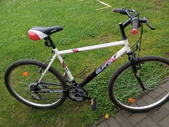 Olpran velikost 26"