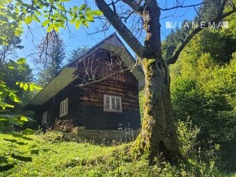 IBA U NÁS Pôvodná drevenica na polosamote - Horná Mariková