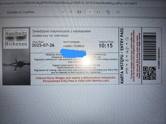 Vstup Osvětim 26.7. Cesky