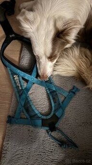 Nonstop Dogwear Rush hamess vel. 5