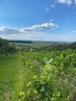 Pozemek s krásným výhledem a chatou - 1