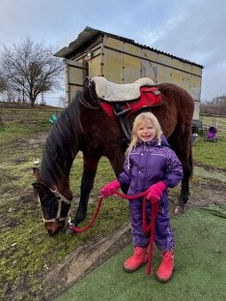 Hřebeček do rodiny