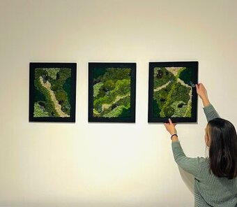 Set mechových obrazov