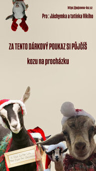 děti, kozy a kůzlátka