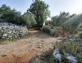 Kamenný dům s olivovým sadem - 1
