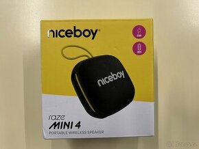 Niceboy raze Mini 4