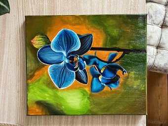 Orchidej - 1