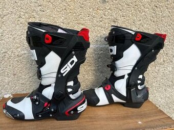 Sidi Rex