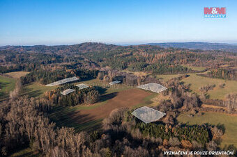 Prodej lesa, 25838 m², Nalžovské Hory