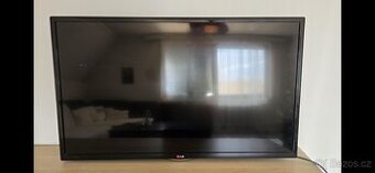 Televize OLG