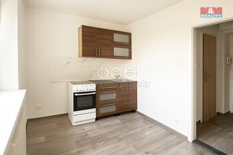 Pronájem bytu 1+1, 30 m², Lom, ul. Novostavby - 1