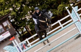 POLOVIČNÍ PRONÁJEM KONĚ