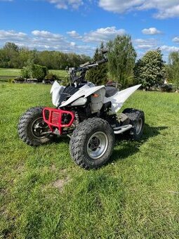 Yamaha raptor 250 tp+spz